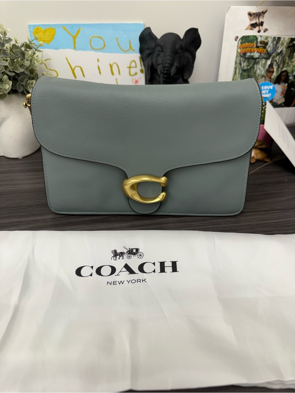 Coach Tabby 26 Shoulder Bag in Sage Blue with Gold Hardware